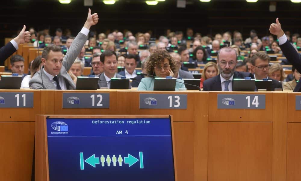 MEPs vote on the Deforestation Regulation during a plenary session of the European Parliament in Brussels, Belgium, 14 November 2024. (Bélgica, Bruselas) EFE/EPA/OLIVIER HOSLET