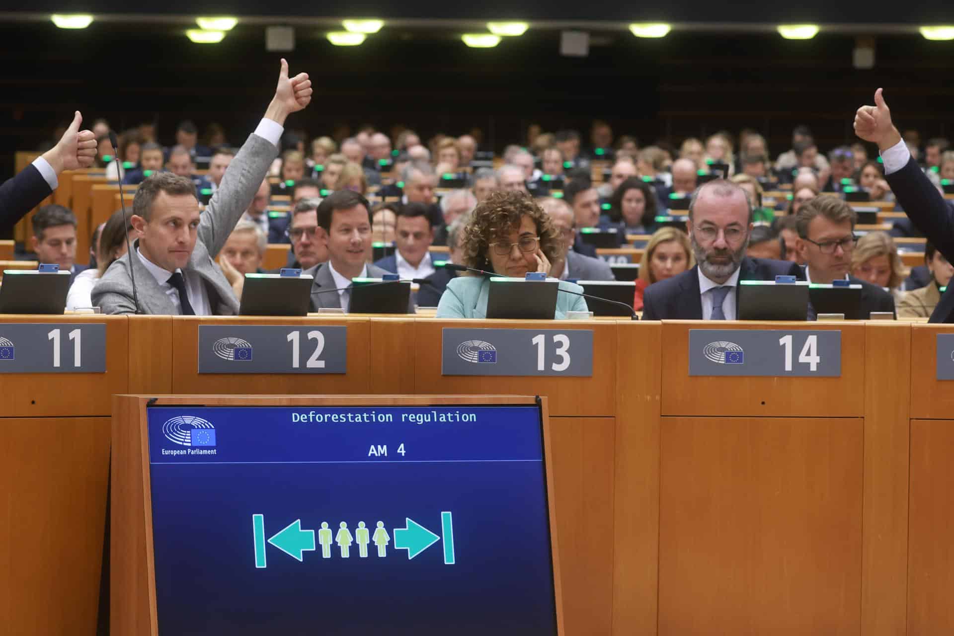 MEPs vote on the Deforestation Regulation during a plenary session of the European Parliament in Brussels, Belgium, 14 November 2024. (Bélgica, Bruselas) EFE/EPA/OLIVIER HOSLET