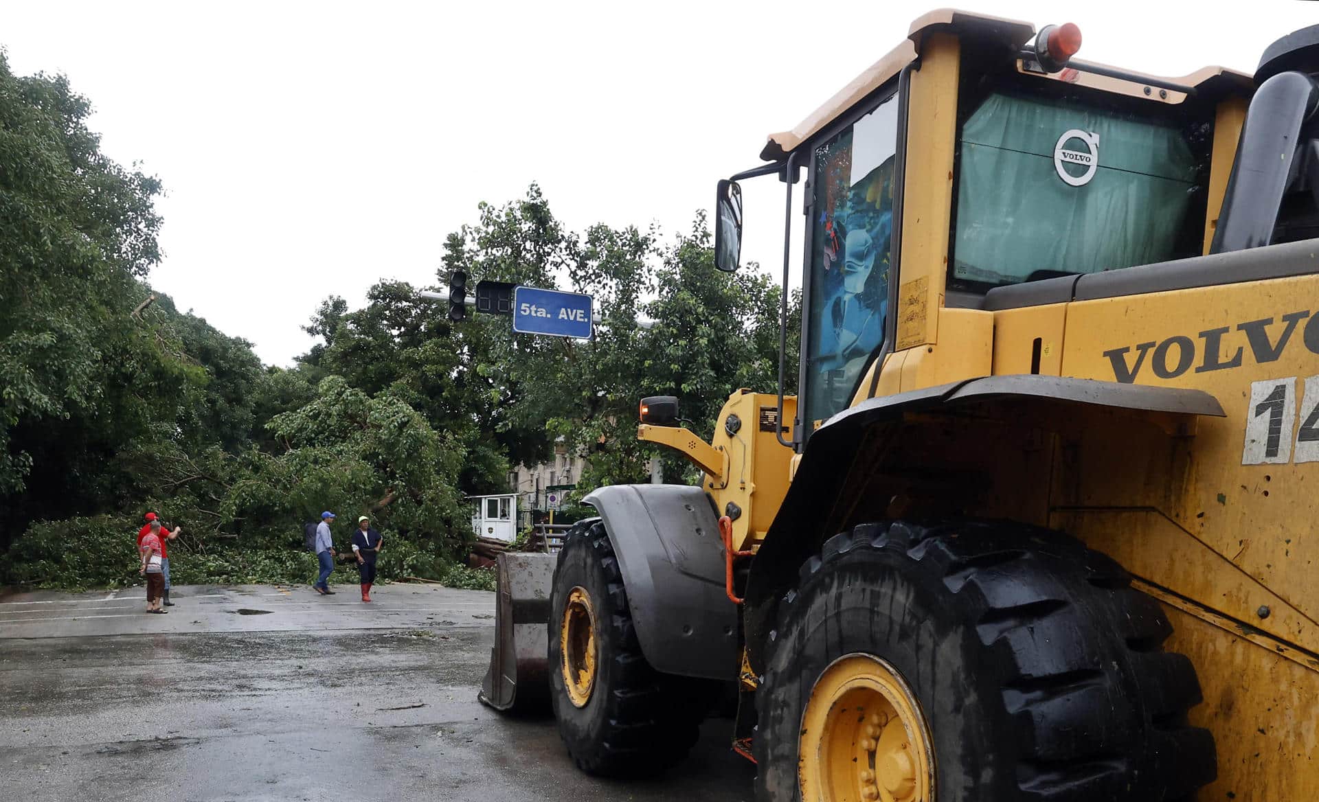 Brigadas de trabajadores con maquinaria amarilla realizan este jueves labores de recuperación de cortes de árboles caídos, después del paso del Huracán Rafael por La Habana (Cuba). EFE/Ernesto Mastrascusa