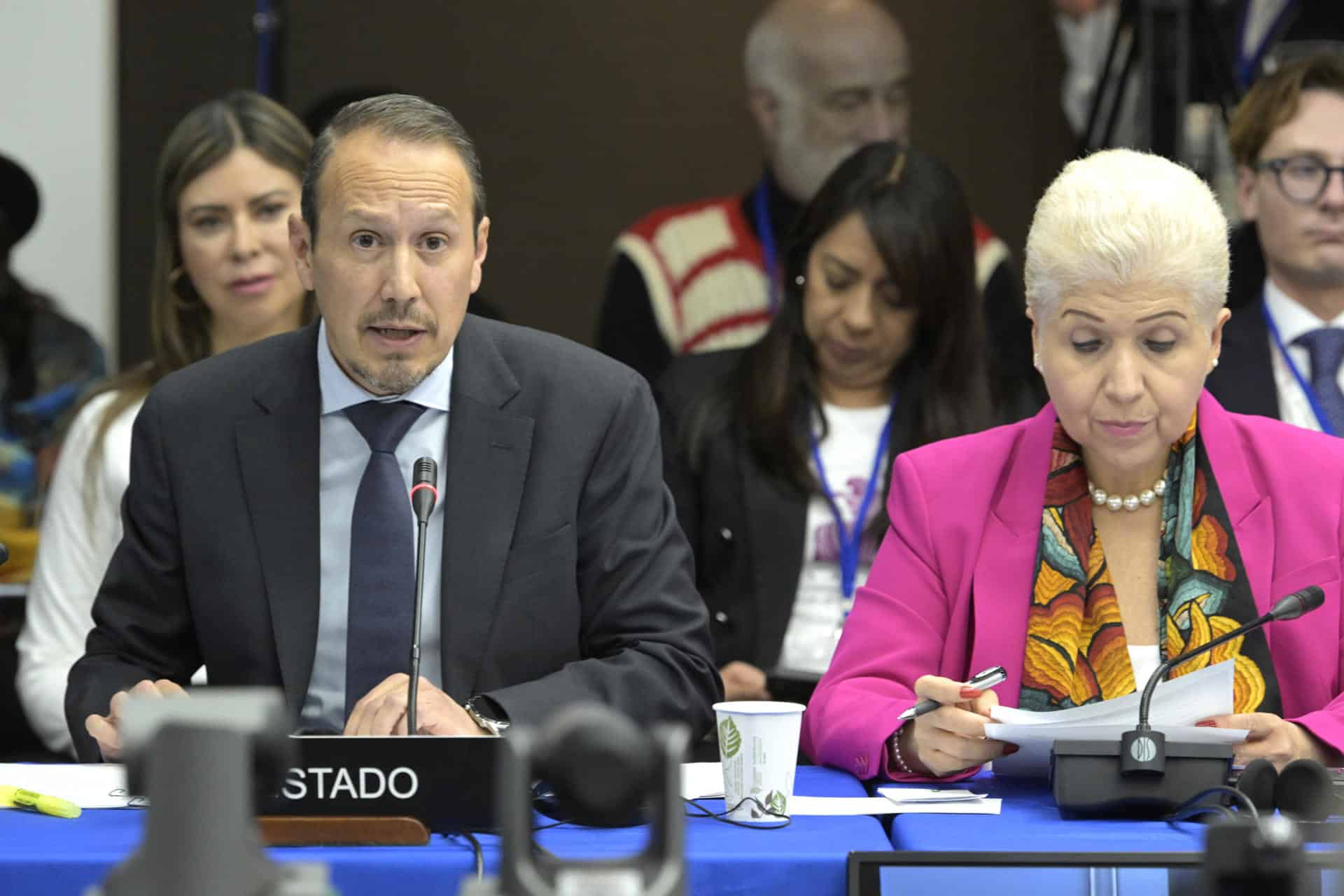 El representante del Estado mexicano, José Antonio Montero, y la representante permanente de México ante la Organización de los Estados Americanos (OEA), Luz Baños, participan durante una audiencia de la Comisión Interamericana de Derechos Humanos (CIDH), este martes en la sede del organismo en Washington (Estados Unidos). EFE/ Lenin Nolly