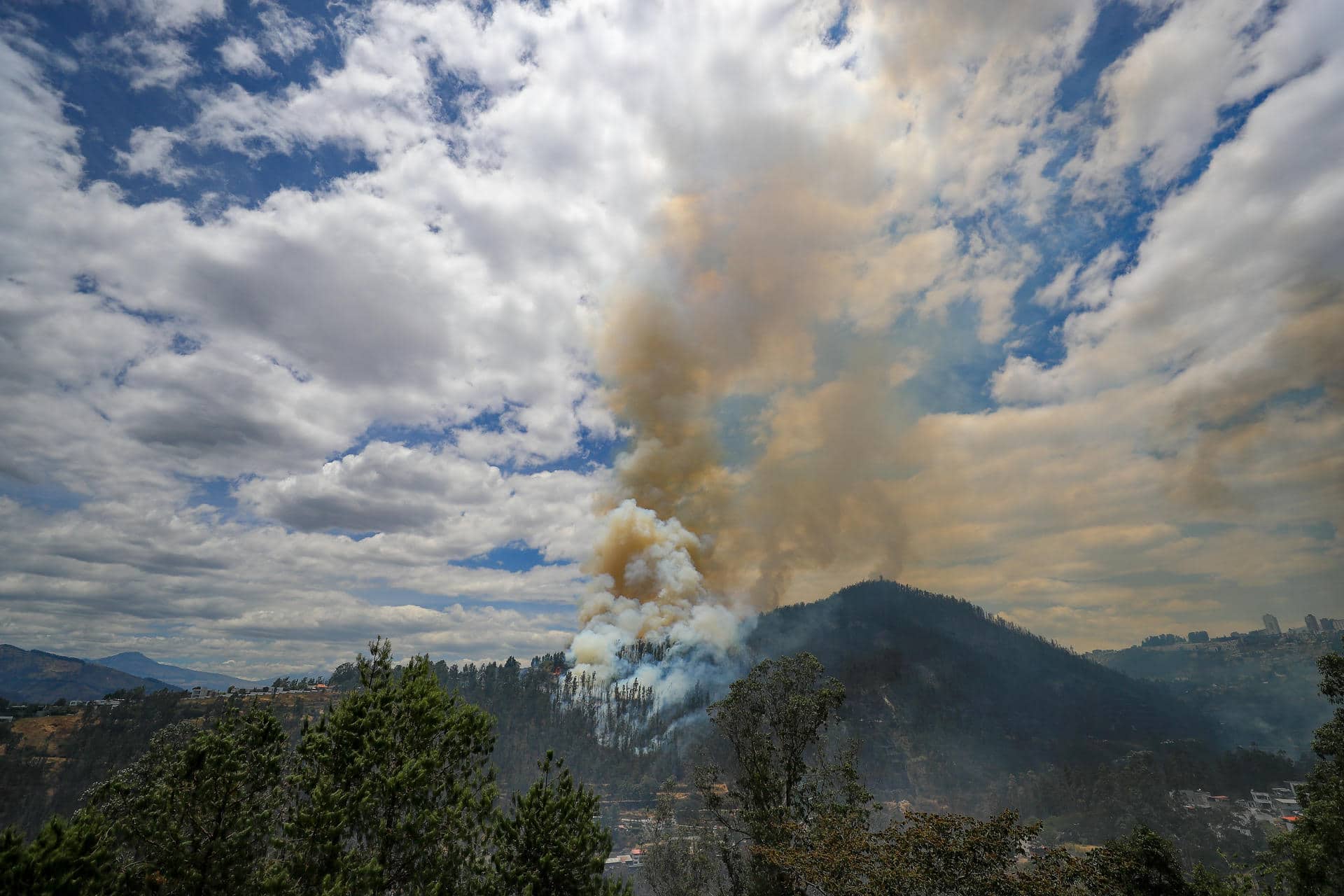 Fotografía de archivo de uno de los incendios forestales que han azotado este año a Ecuador. EFE/José Jácome