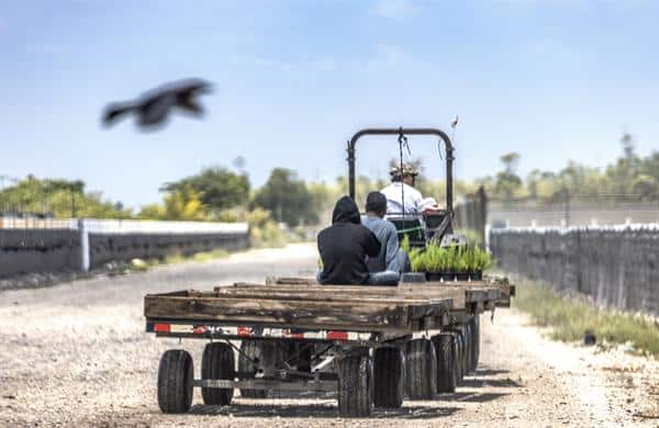 Bloquean protecciones de Biden a trabajadores agrícolas