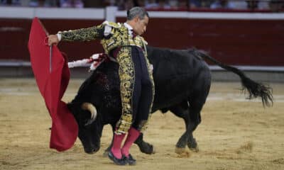 El torero colombiano Luis Bolívar lidia al toro 'Luchador' de la ganadería Ernesto Gutiérrez, durante la primera corrida de la Feria de Cali este jueves, en Cali (Colombia). EFE/ Ernesto Guzmán