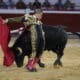 El torero colombiano Luis Bolívar lidia al toro 'Luchador' de la ganadería Ernesto Gutiérrez, durante la primera corrida de la Feria de Cali este jueves, en Cali (Colombia). EFE/ Ernesto Guzmán