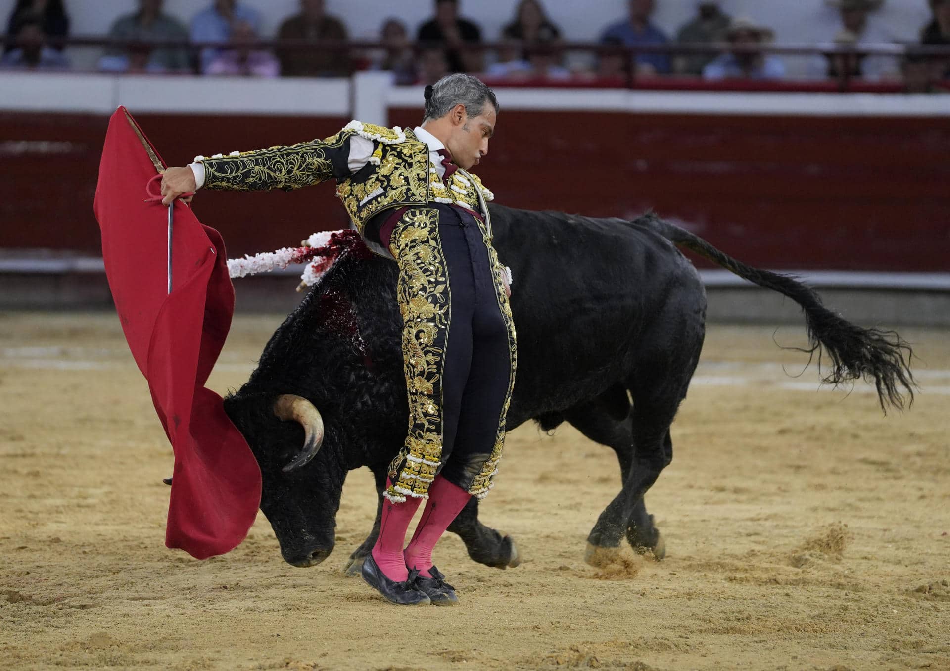 El torero colombiano Luis Bolívar lidia al toro 'Luchador' de la ganadería Ernesto Gutiérrez, durante la primera corrida de la Feria de Cali este jueves, en Cali (Colombia). EFE/ Ernesto Guzmán