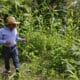 Imagen de archivo del agroecólogo Ezequiel Cárdenas que supervisa una parcela de maíz en la localidad de San Juan Evangelista, municipio de Tlajomulco (México). EFE/Francisco Guasco