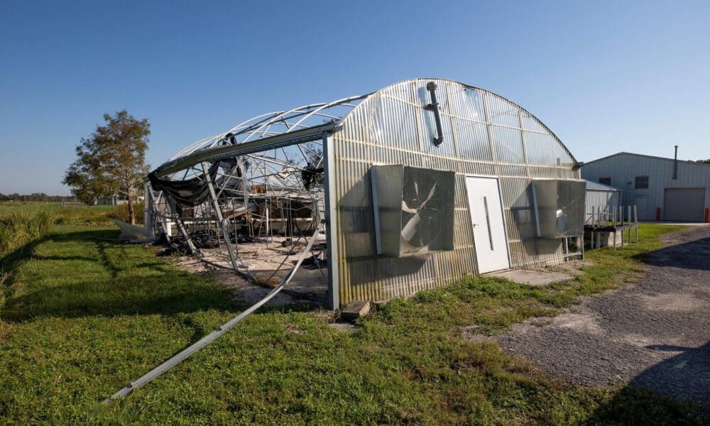 Fotografía cedida por el Instituto de Ciencias Agrícolas y Alimentarias de la Universidad de Florida (UF/IFAS) donde se muestran los daños causados por el Huracán Milton en la oficina de Extensión del instituto, en el Condado de St. Lucie, Florida (Estados Unidos). EFE/Cat Wofford/UF/IFAS /SOLO USO EDITORIAL /NO VENTAS /SOLO DISPONIBLE PARA ILUSTRAR LA NOTICIA QUE ACOMPAÑA /CRÉDITO OBLIGATORIO