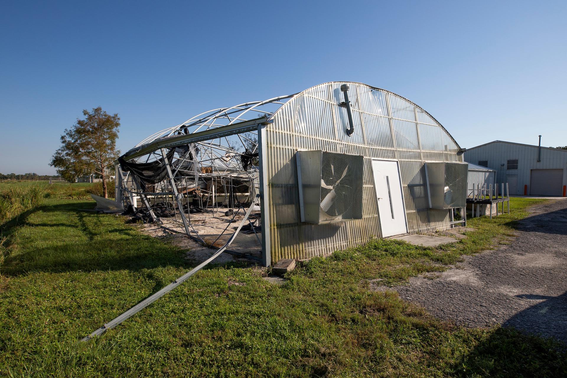 Fotografía cedida por el Instituto de Ciencias Agrícolas y Alimentarias de la Universidad de Florida (UF/IFAS) donde se muestran los daños causados por el Huracán Milton en la oficina de Extensión del instituto, en el Condado de St. Lucie, Florida (Estados Unidos). EFE/Cat Wofford/UF/IFAS /SOLO USO EDITORIAL /NO VENTAS /SOLO DISPONIBLE PARA ILUSTRAR LA NOTICIA QUE ACOMPAÑA /CRÉDITO OBLIGATORIO