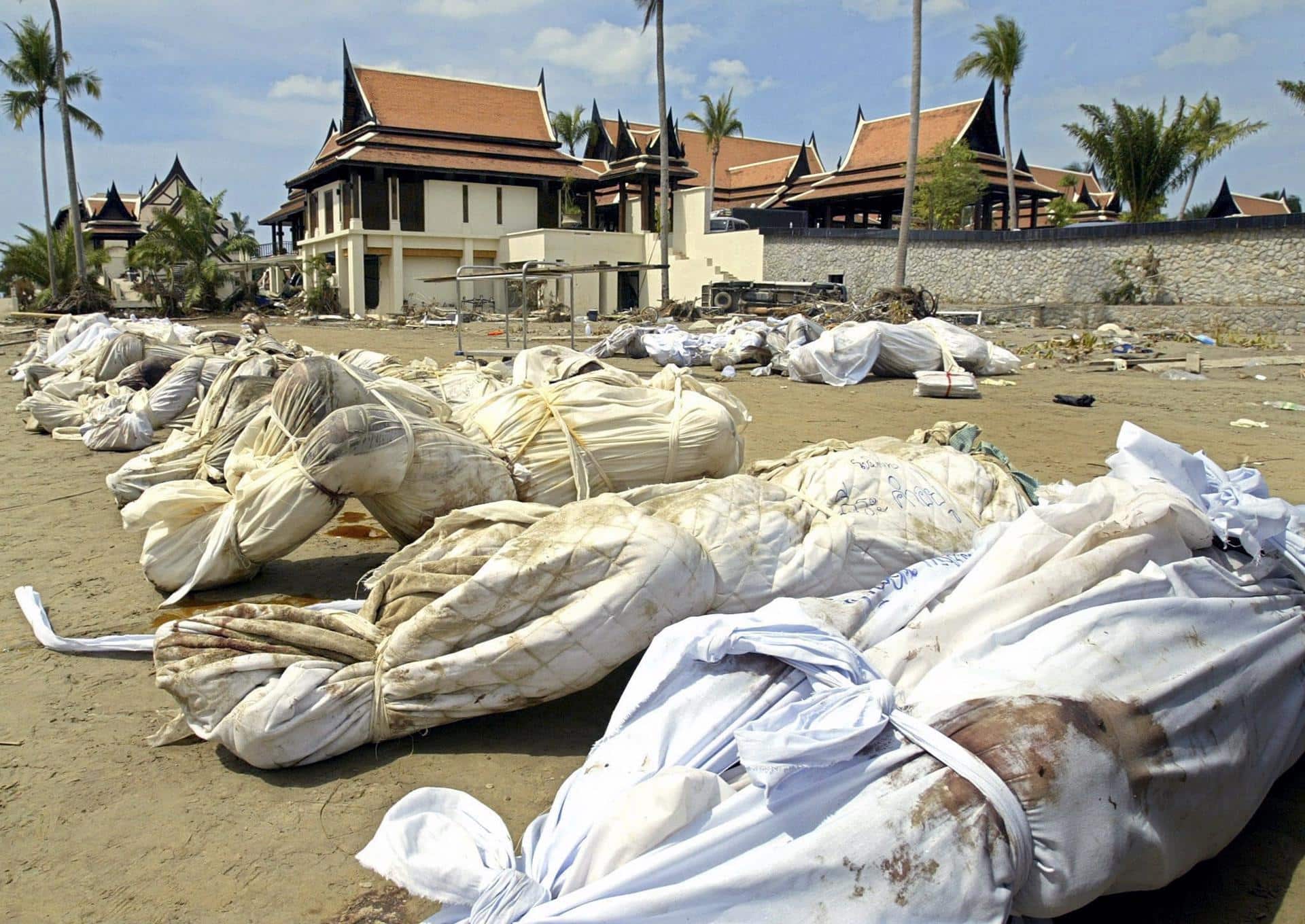 Fotografía de archivo del 29 de diciembre de 2004 (republicada el 23 de diciembre de 2024) de varios cadáveres frente al hotel Sofitel Magic Lagoon en Khao Lak, en la provincia de Phang Nga, tras el tsunami del océano Índico de 2004. EFE/EPA/RUNGROJ YONGRIT *** Local Caption *** 51697555