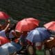 Imagen de este 2024 de varios turistas en plena ola de calor en Berlín, Alemania. EFE/EPA/FILIP SINGER