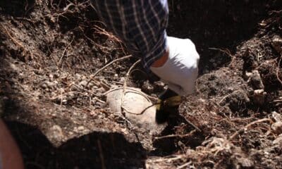 Tras un primer reporte de 15 cadáveres, las autoridades continúan este lunes con los trabajos de búsqueda de cementerios clandestinos vinculados al crimen organizado, y las investigaciones se concentrarán en el municipio de Playas de Catazajá, en la frontera con el estado de Tabasco.Archivo. EFE/Francisca Meza