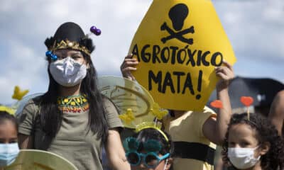 Fotografía de archivo en donde se ven activistas que protestan para exigir que se termine con la "destrucción de la Amazonía y de Brasil". EFE/ Joédson Alves