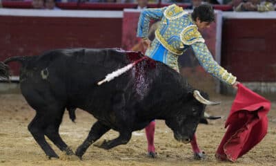 El torero francés Sebastián Castella, lidia al toro 'Acérrimo' de la ganadería Las Ventas del Espíritu Santo, durante la tercera jornada de la feria taurina de Cali este sábado, en la plaza de toros Cañaveralejo de Cali (Colombia). EFE/ Ernesto Guzmán