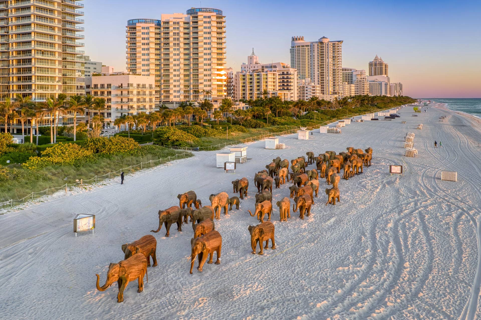 Fotografía cedida por Lee Smith donde se muestra la instalación 'The Great Elephant Migration', un conjunto de esculturas de elefantes indios a tamaño natural puestos en la playa de Miami Beach, Florida (Estados Unidos).EFE/Lee Smith