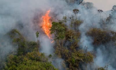 Fotografía de archivo de un incendio forestal en el departamento de Amazonas (Perú). EFE/Miguel Gutierrez Chero