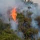 Fotografía de archivo de un incendio forestal en el departamento de Amazonas (Perú). EFE/Miguel Gutierrez Chero