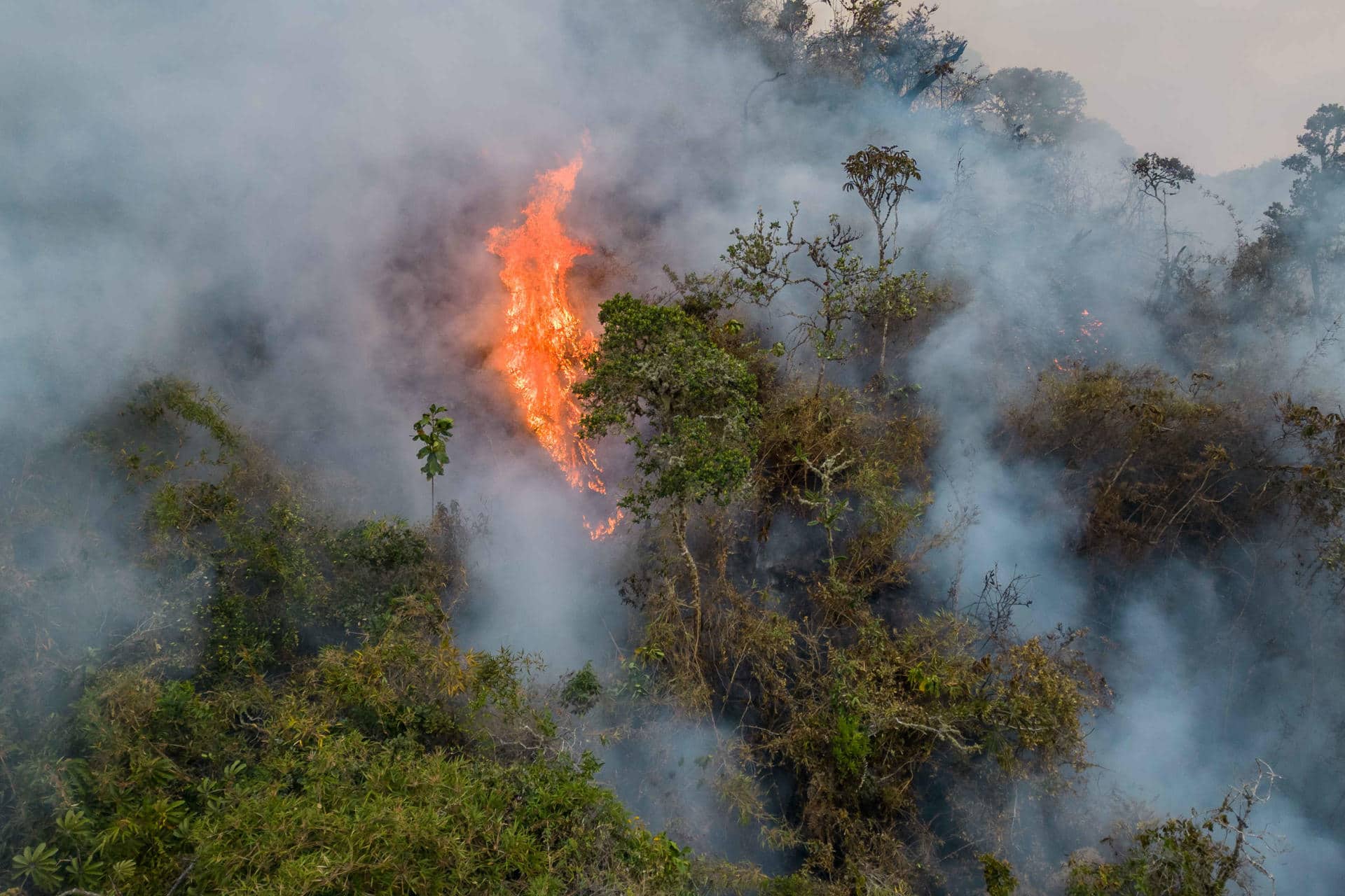 Fotografía de archivo de un incendio forestal en el departamento de Amazonas (Perú). EFE/Miguel Gutierrez Chero