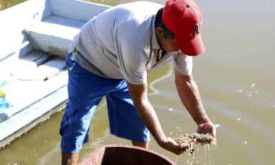 Fotografía del 17 de diciembre de 2024 de Rafael Montoya un pequeño productor trabajando en una laguna artificial donde se cultiva camarón en el municipio de Marcovia en el sur de Honduras. EFE/ Germán Reyes