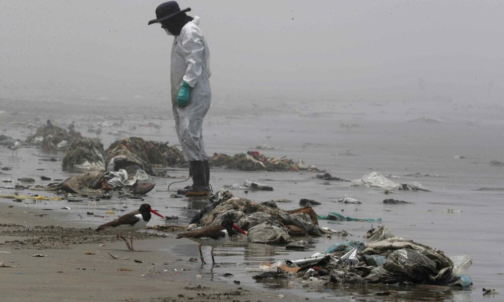 Fotografía de archivo de personal de limpieza en la playa Cavero tras el desastre ambiental que sufrieron las costas de Lima por el derrame de crudo en la refinería La Pampilla. EFE/Paolo Aguilar