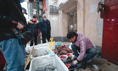 Un hombre vende tortugas en un mercado de Wuhan este 21 de enero. EFE/EPA/ALEX PLAVEVSKI