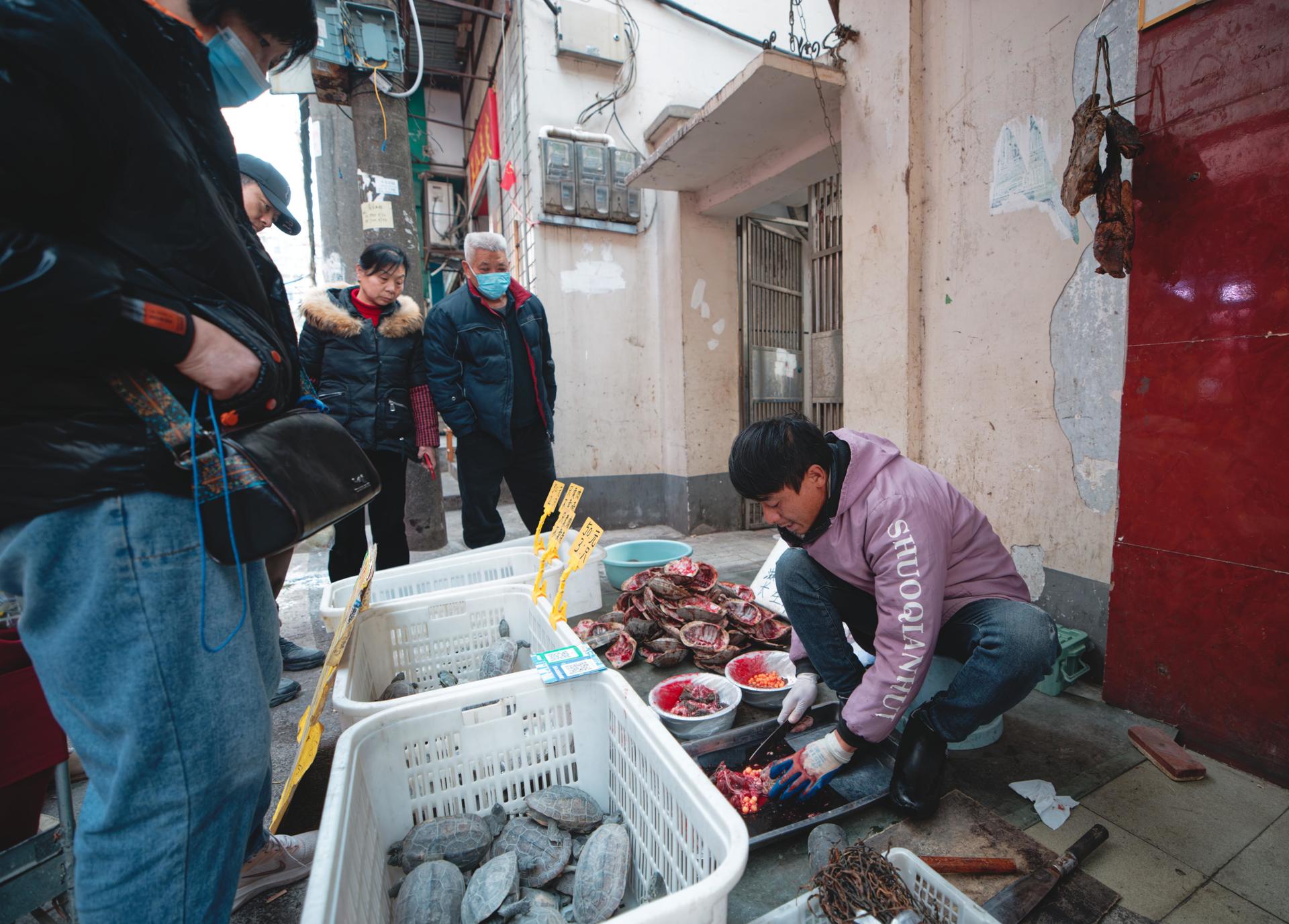 Un hombre vende tortugas en un mercado de Wuhan este 21 de enero. EFE/EPA/ALEX PLAVEVSKI