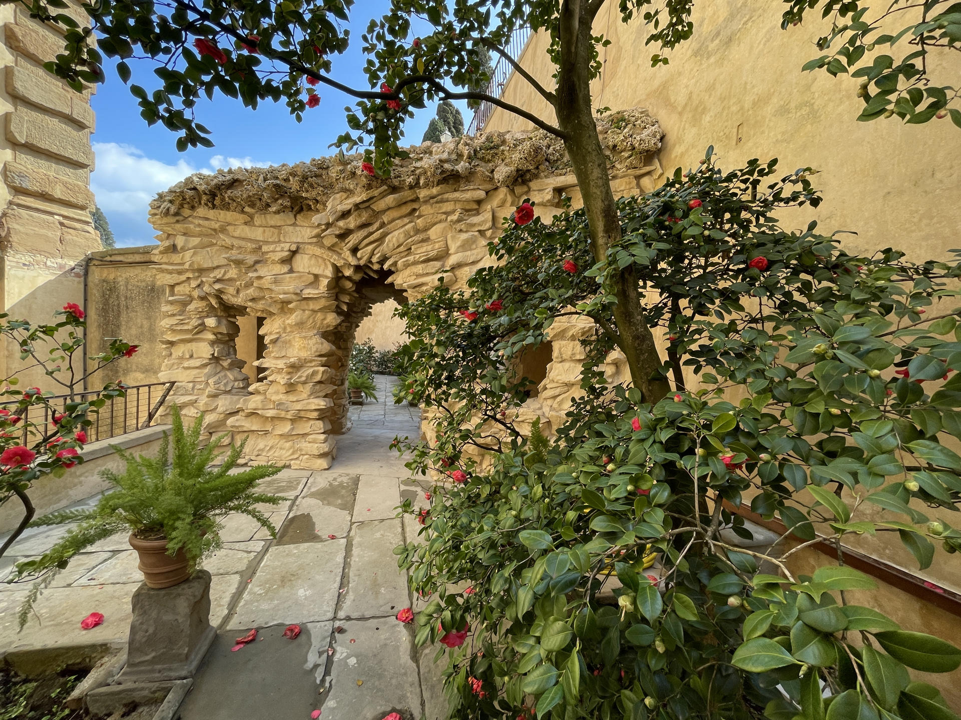 El Jardín de las Camelias, un espacio "secreto" ubicado en los Jardines de Boboli, en el Palacio Pitti de Florencia (centro de Italia), que en la época de los Medici estaba reservado exclusivamente para algunos miembros de la familia, será abierto al público. 
EFE/Galleria de los Uffizi *****SOLO USO EDITORIAL/SOLO DISPONIBLE PARA ILUSTRAR LA NOTICIA QUE ACOMPAÑA (CRÉDITO OBLIGATORIO) *****