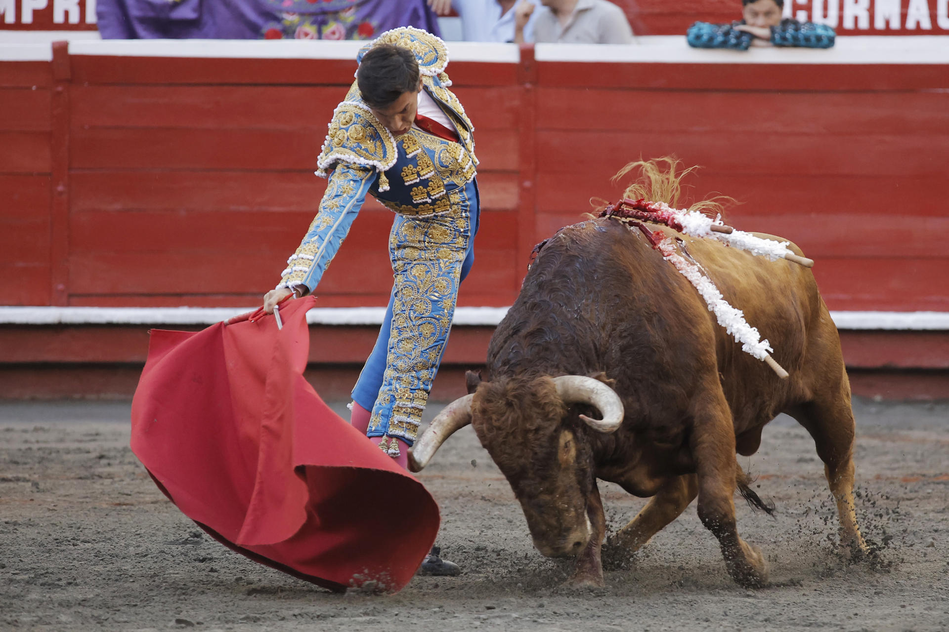 El torero colombiano José Arcila lidia al toro Indígena de 458 kg, de la ganadería Las Ventas del Espíritu Santo, al que le cortó una oreja este miércoles, durante una corrida correspondiente a la temporada taurina 70 de la Feria de Manizales, en la plaza de toros de Manizales (Colombia). EFE/ Jhon Jairo Bonilla