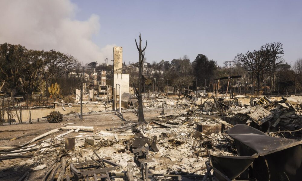 Un grupo de viviendas destruidas por el incendio forestal Palisades en el barrio de Pacific Palisades de Los Ángeles, California (EE.UU.). EFE/CAROLINE BREHMAN