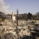 Un grupo de viviendas destruidas por el incendio forestal Palisades en el barrio de Pacific Palisades de Los Ángeles, California (EE.UU.). EFE/CAROLINE BREHMAN