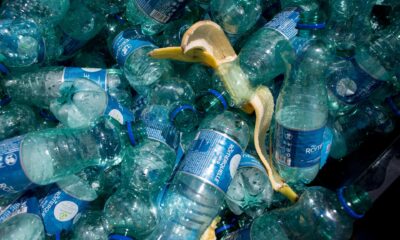 Imagen de archivo de varias botellas de plástico vacías y una piel de plátano en Viena, Austria. EFE/EPA/LISI NIESNER