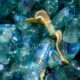 Imagen de archivo de varias botellas de plástico vacías y una piel de plátano en Viena, Austria. EFE/EPA/LISI NIESNER