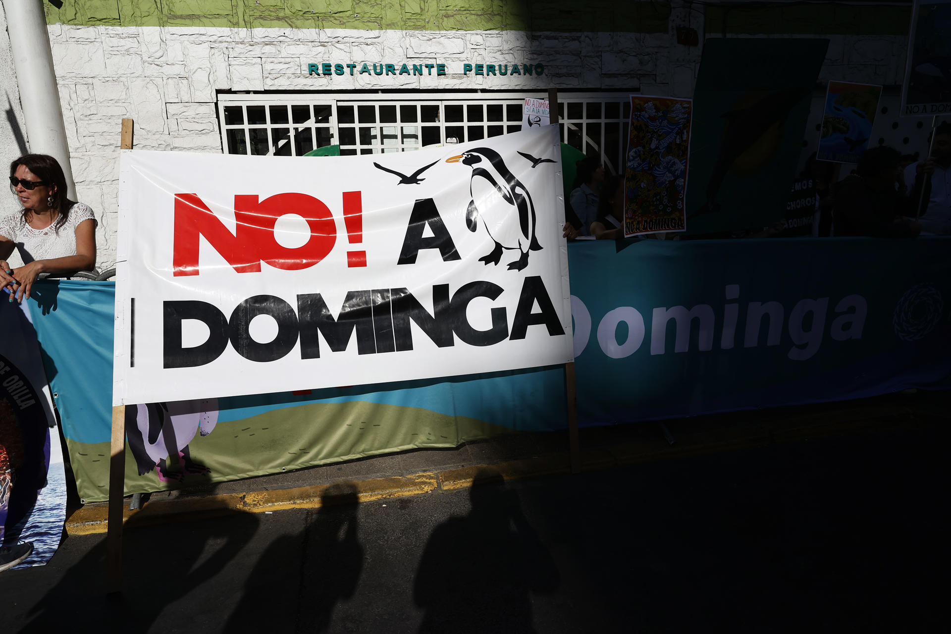 Fotografía de archivo de una manifestación en contra del controvertido megaproyecto Dominga para la extracción de concentrado de hierro y cobre, afuera del ministerio de Medio ambiente, en Santiago (Chile). EFE/ Elvis González