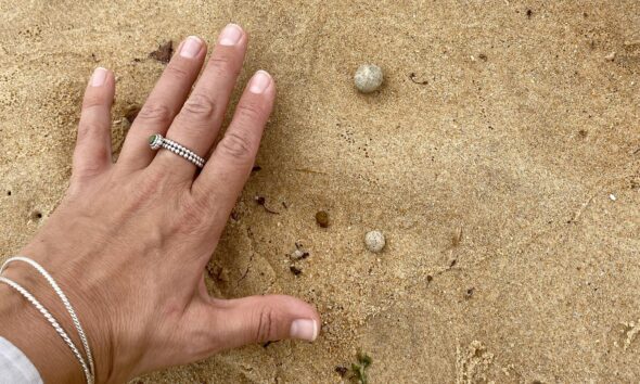 Sydney (Australia), 14/01/2025.- Las autoridades de Australia investigan la reaparición de bolas contaminantes en playas de Sídney. EFE/EPA/Northern Beaches Council / HANDOUT AUSTRALIA AND NEW ZEALAND OUTHANDOUT EDITORIAL USE ONLY/NO SALES