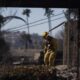 Bomberos y equipos de búsqueda y rescate inspeccionan el lugar de una casa incendiada en Altadena, California, EE.UU.. EFE/EPA/CAROLINE BREHMAN