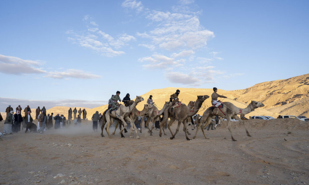 Las tribus beduinas de la península egipcia del Sinaí celebraron este viernes una nueva edición de su famosa carrera de los camellos, que desde hace más de cuarenta años transcurre por el desértico valle de Al Zalaga para recordar un patrimonio centenario de los ancestros de estas comunidades. EFE/Ali Mostafa