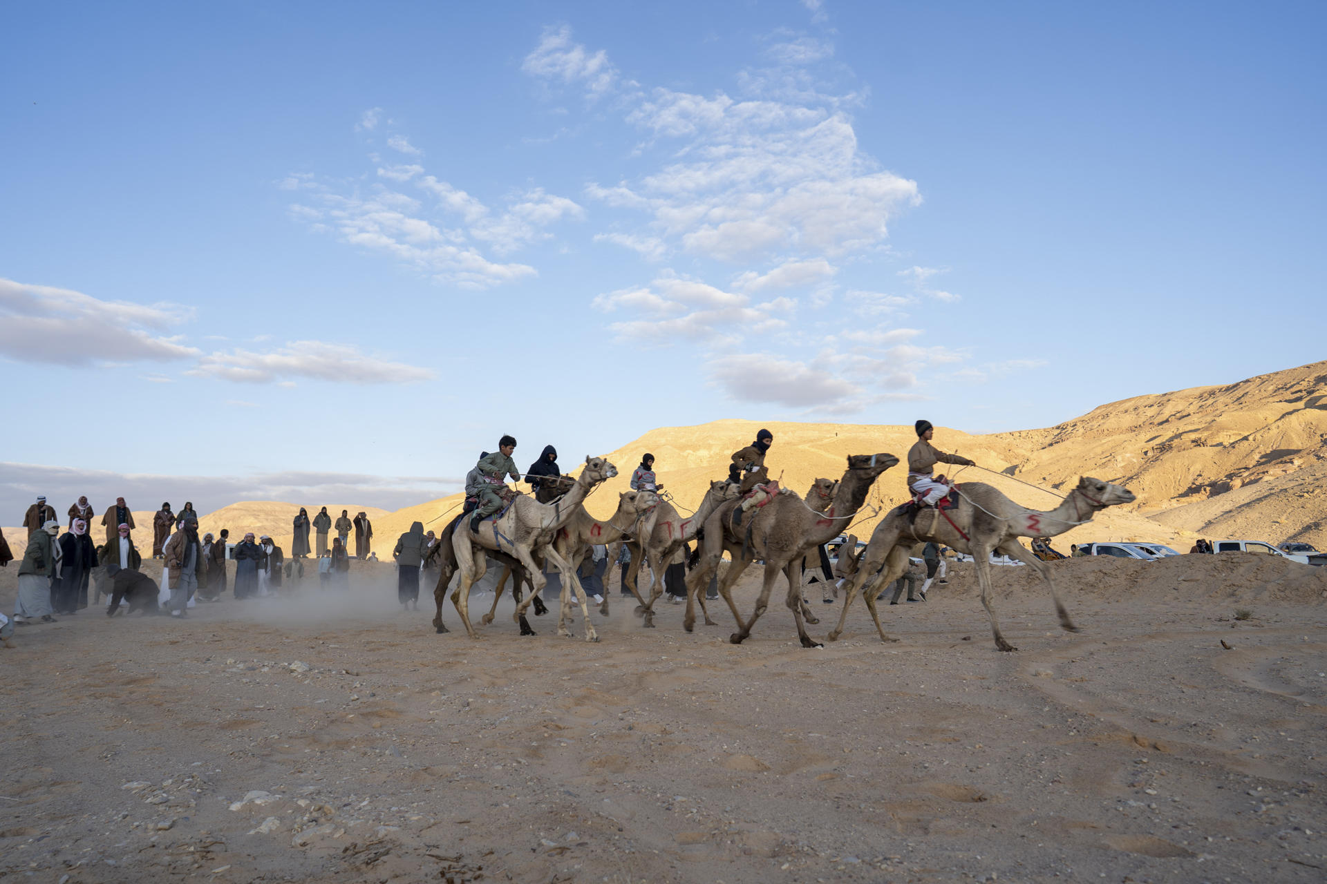 Las tribus beduinas de la península egipcia del Sinaí celebraron este viernes una nueva edición de su famosa carrera de los camellos, que desde hace más de cuarenta años transcurre por el desértico valle de Al Zalaga para recordar un patrimonio centenario de los ancestros de estas comunidades. EFE/Ali Mostafa