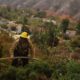 Un bombero trabaja entre la maleza para apagar el incendio forestal de Palisades en Los Ángeles, California (EE.UU.). EFE/ALLISON DINNER