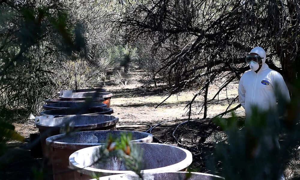 Fotograma de archivo extraído de un vídeo, que muestra a miembros del Ejercito Mexicano resguardando un laboratorio clandestino asegurado. EFE/Israel Martínez/MEJOR CALIDAD DISPONIBLE