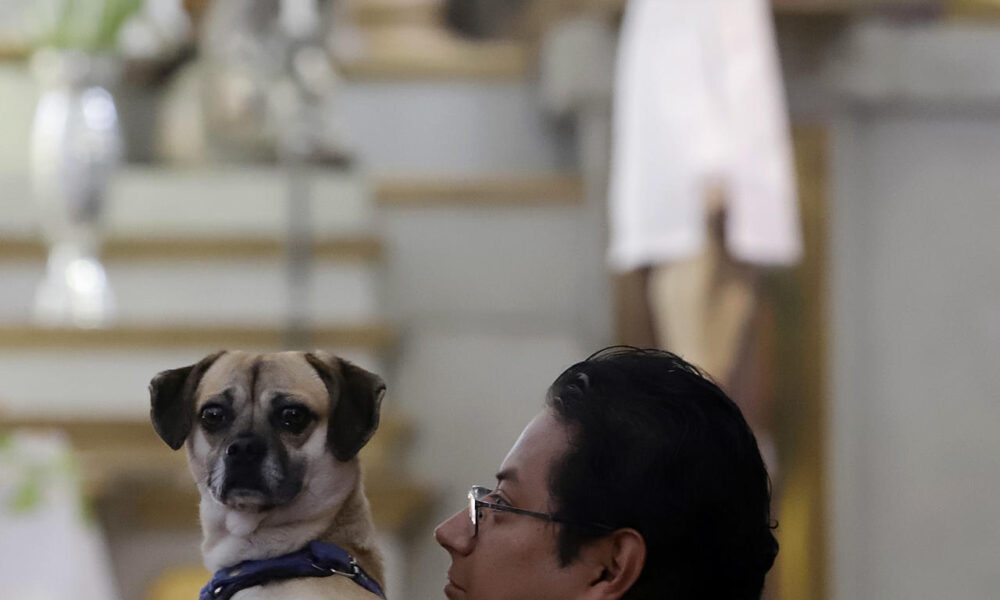 Un hombre lleva a su mascota a bendecir este viernes, en la ciudad de Puebla (México). EFE/ Hilda Ríos