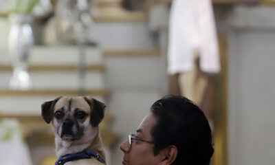 Un hombre lleva a su mascota a bendecir este viernes, en la ciudad de Puebla (México). EFE/ Hilda Ríos