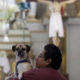 Un hombre lleva a su mascota a bendecir este viernes, en la ciudad de Puebla (México). EFE/ Hilda Ríos