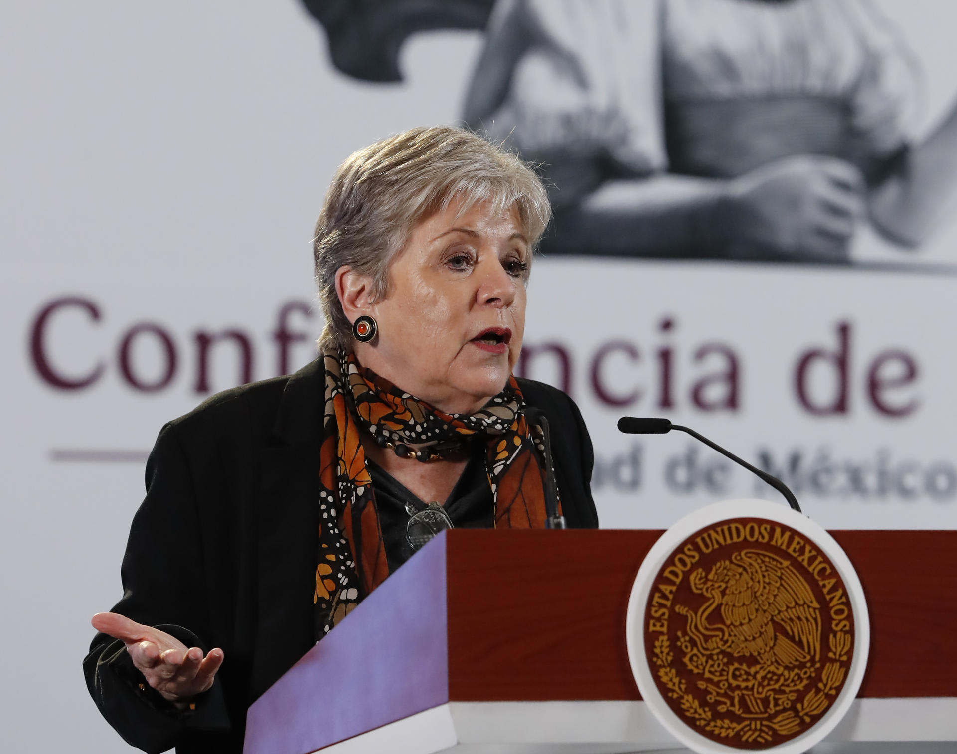 La Secretaria de Medio Ambiente y Recursos Naturales (SEMARNAT), Alicia Bárcenas. Imagen de archivo. EFE/ Mario Guzmán