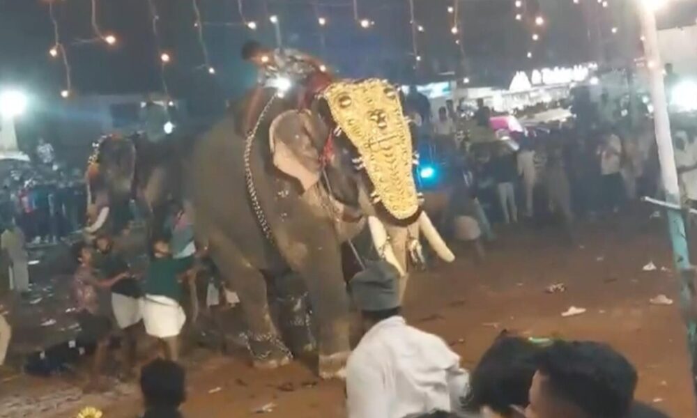 Captura de vídeo del festival en el que al menos 23 personas resultaron heridas en el sur de la India después de que uno de los elefantes que formaban parte de la celebración embistiera contra la multitud, dando lugar a escenas de caos. EFE