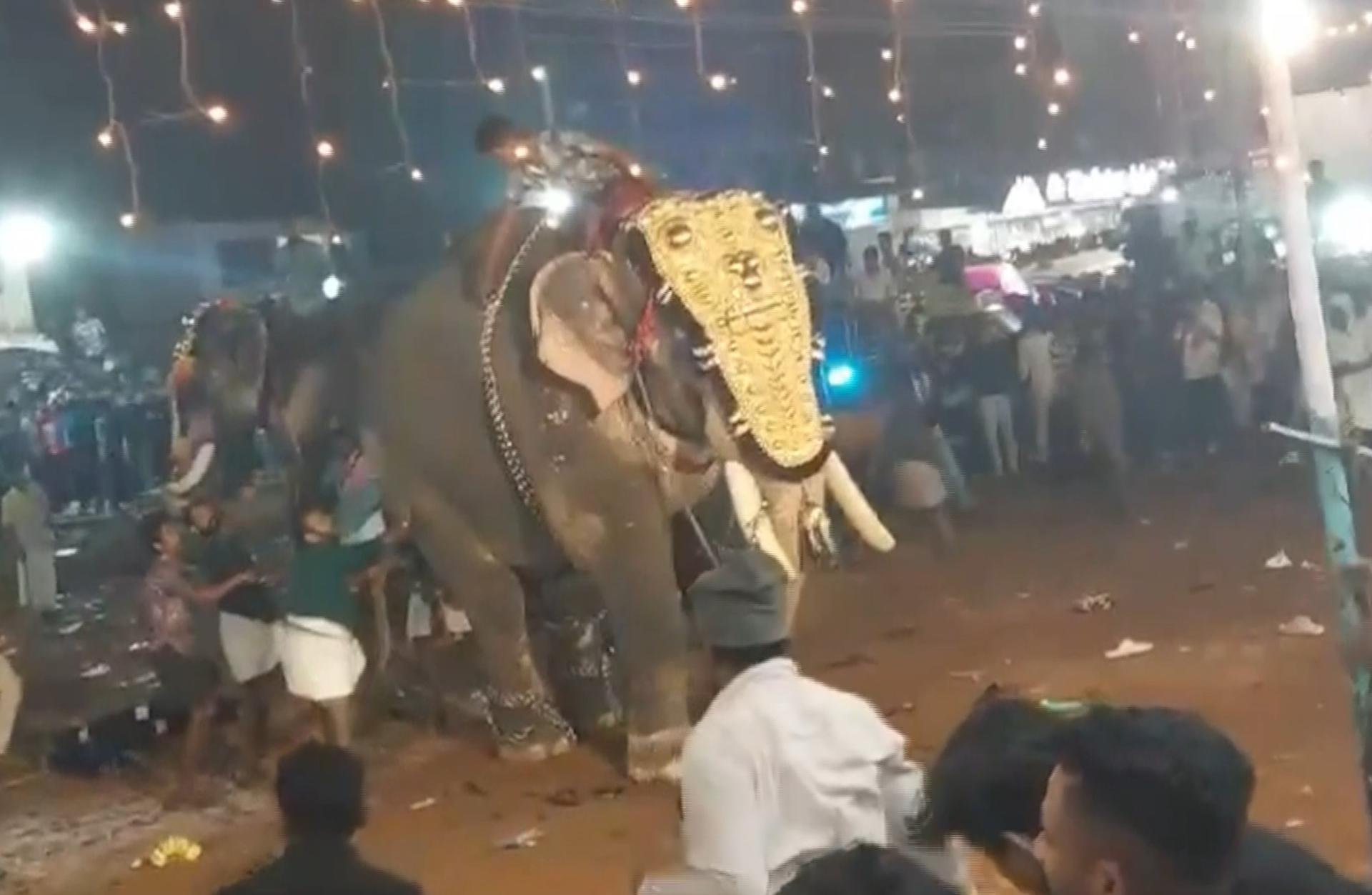 Captura de vídeo del festival en el que al menos 23 personas resultaron heridas en el sur de la India después de que uno de los elefantes que formaban parte de la celebración embistiera contra la multitud, dando lugar a escenas de caos. EFE