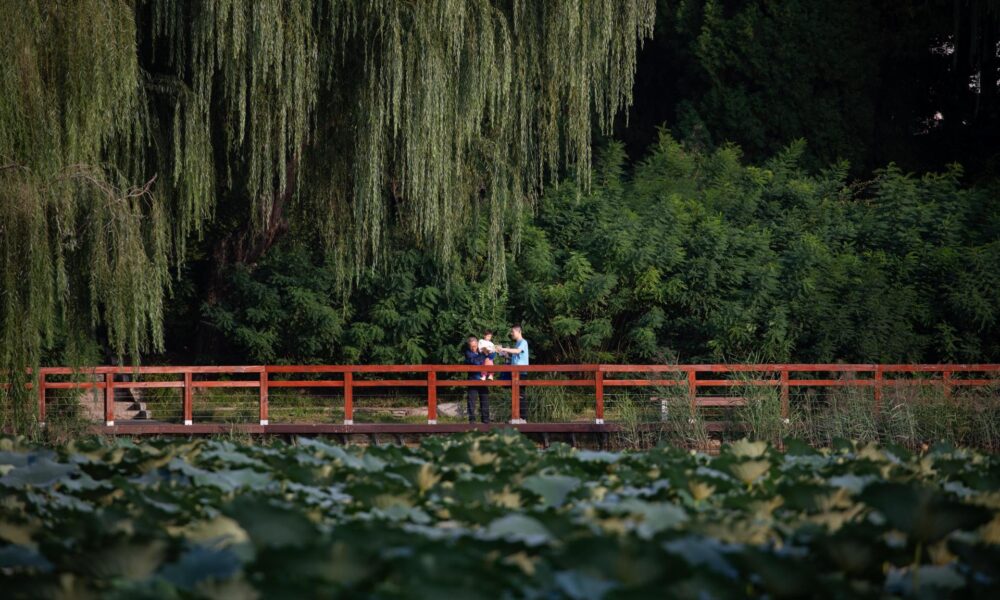 Una familia pasea en un parque en Pekín, China, en una imagen de archivo. EFE/EPA/JESSICA LEE