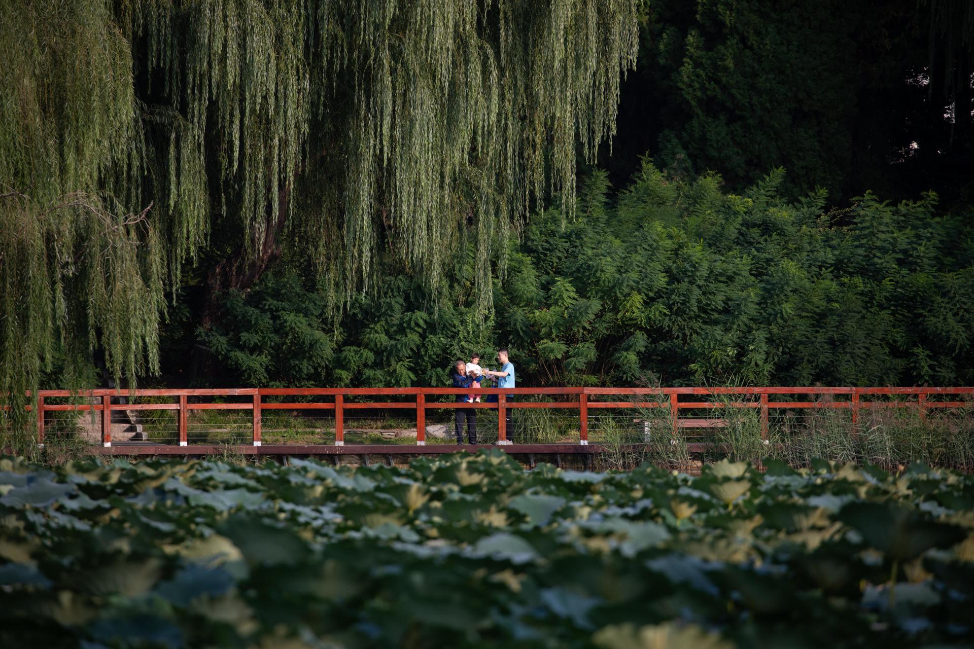 Una familia pasea en un parque en Pekín, China, en una imagen de archivo. EFE/EPA/JESSICA LEE