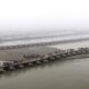 Los fieles hindúes cruzan puentes pontones en el primer día del festival Kumbh Mela en Sangam, la confluencia de los ríos sagrados Ganges, Yamuna y Saraswati, en Prayagraj, estado del norte de Uttar Pradesh, India, 13 de enero de 2025. 
EFE/EPA/RAJAT GUPTA