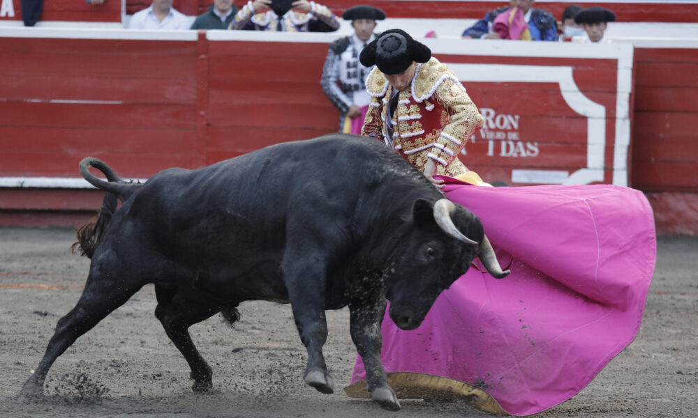 El torero español, Román Collado, durante la lidia del toro Ascendido de 444 kg de la ganadería Dos Gutiérrez en la corrida correspondiente a la temporada taurina 70 de la Feria de Manizales, este lunes en la plaza de toros de Manizales (Colombia). EFE/ Jhon Jairo Bonilla