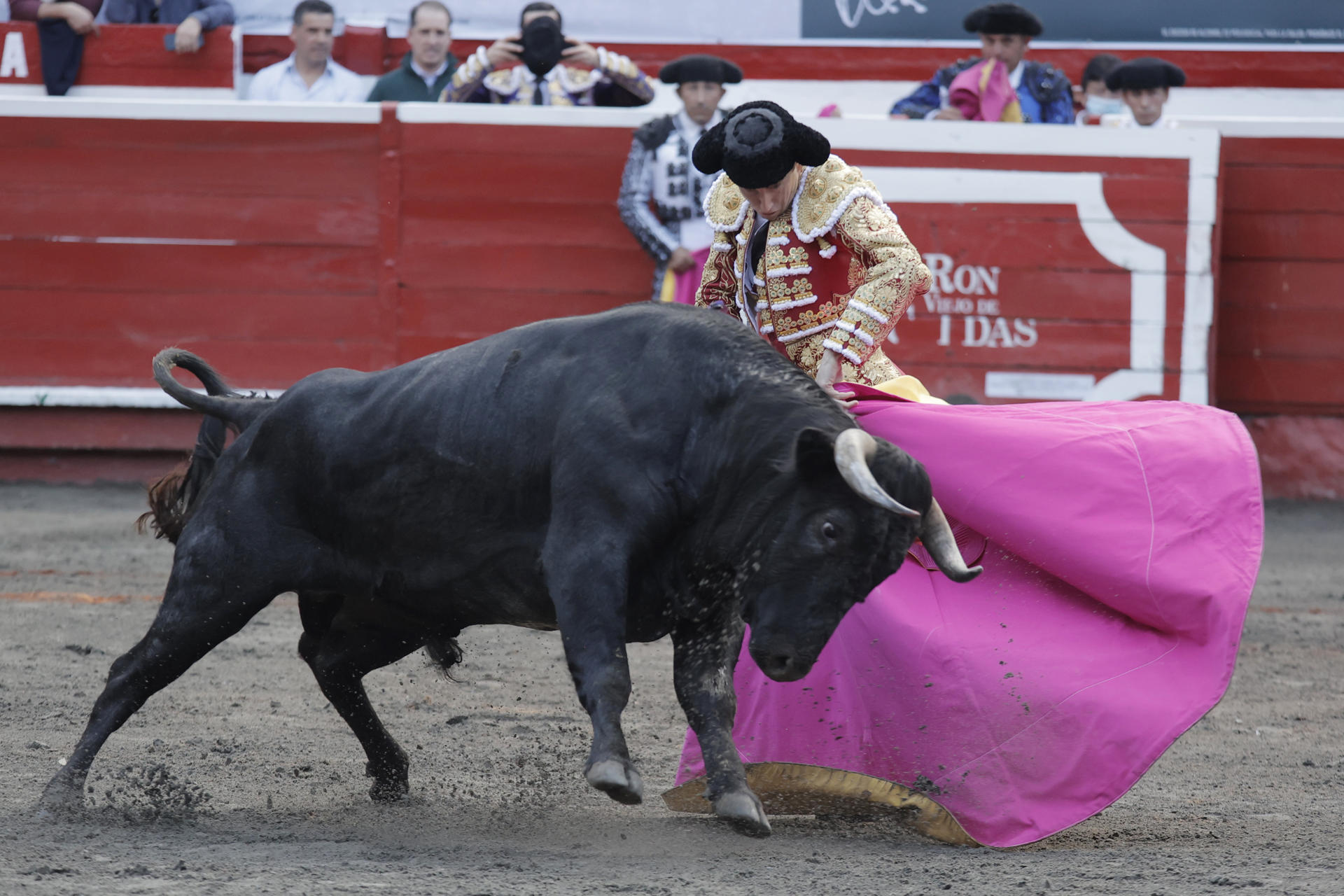 El torero español, Román Collado, durante la lidia del toro Ascendido de 444 kg de la ganadería Dos Gutiérrez en la corrida correspondiente a la temporada taurina 70 de la Feria de Manizales, este lunes en la plaza de toros de Manizales (Colombia). EFE/ Jhon Jairo Bonilla