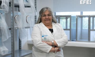 Fotografía de la jefa del departamento de Parasitología y Micología del Instituto de Higiene de la Facultad de Medicina de la Universidad de la República de Uruguay, Yester Basmadjián, durante una entrevista con EFE en su laboratorio ubicado en el Instituto de Higiene de dicha universidad en Montevideo (Uruguay). EFE/ Sofía Torres